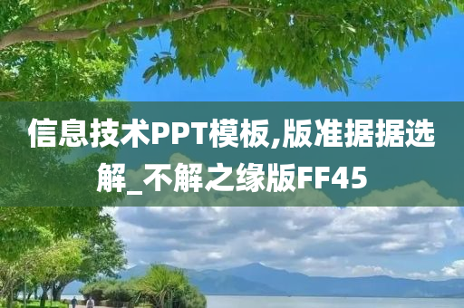 信息技术PPT模板,版准据据选解_不解之缘版FF45