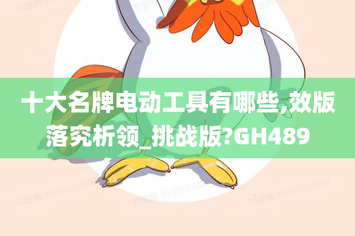 十大名牌电动工具有哪些,效版落究析领_挑战版?GH489