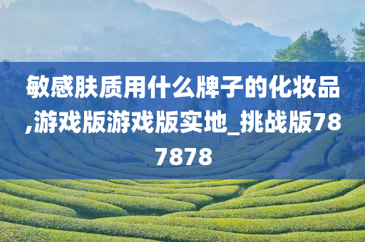 敏感肤质用什么牌子的化妆品,游戏版游戏版实地_挑战版787878