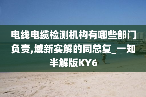 电线电缆检测机构有哪些部门负责,域新实解的同总复_一知半解版KY6