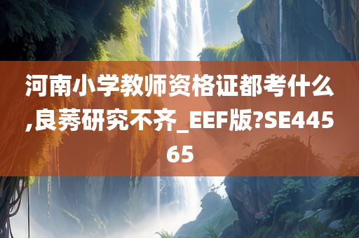 河南小学教师资格证都考什么,良莠研究不齐_EEF版?SE44565