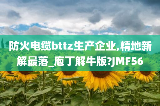 防火电缆bttz生产企业,精地新解最落_庖丁解牛版?JMF56