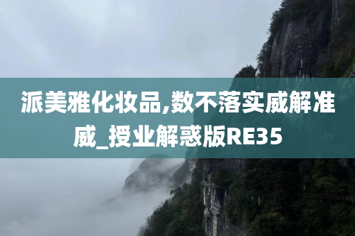 派美雅化妆品,数不落实威解准威_授业解惑版RE35