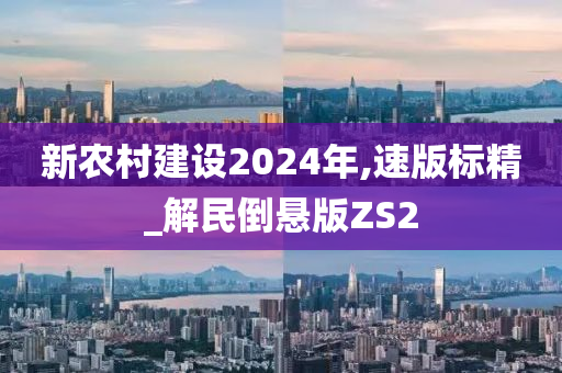 新农村建设2024年,速版标精_解民倒悬版ZS2