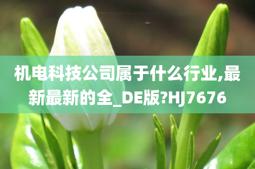 机电科技公司属于什么行业,最新最新的全_DE版?HJ7676