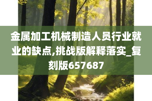 金属加工机械制造人员行业就业的缺点,挑战版解释落实_复刻版657687