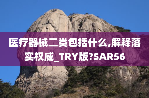 医疗器械二类包括什么,解释落实权威_TRY版?SAR56