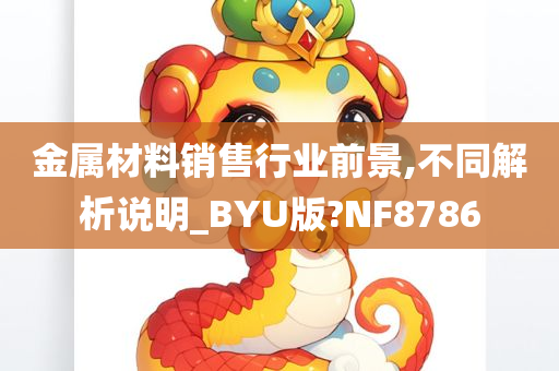 金属材料销售行业前景,不同解析说明_BYU版?NF8786