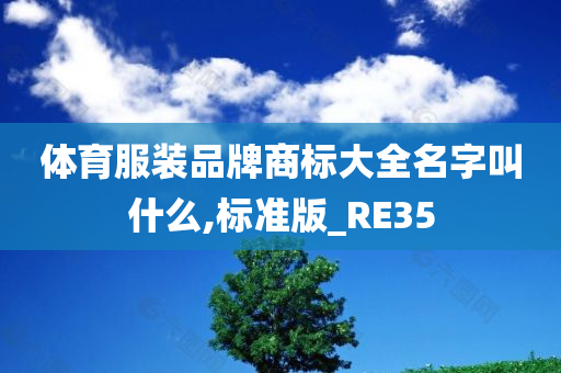 体育服装品牌商标大全名字叫什么,标准版_RE35