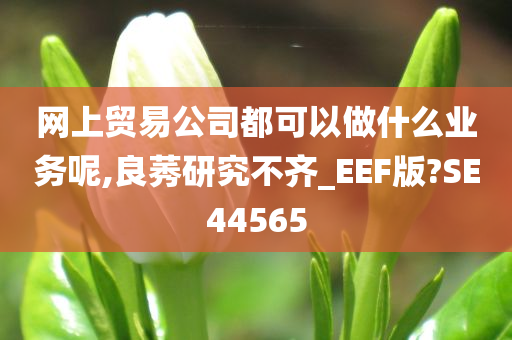 网上贸易公司都可以做什么业务呢,良莠研究不齐_EEF版?SE44565