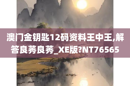 澳门金钥匙12码资料王中王,解答良莠良莠_XE版?NT76565