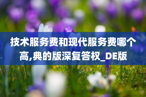 技术服务费和现代服务费哪个高,典的版深复答权_DE版