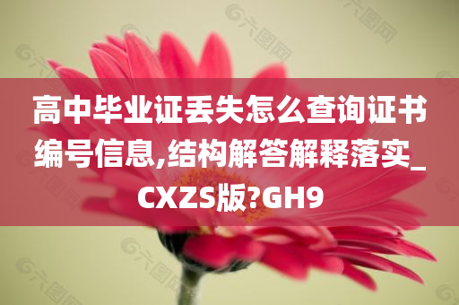 高中毕业证丢失怎么查询证书编号信息,结构解答解释落实_CXZS版?GH9