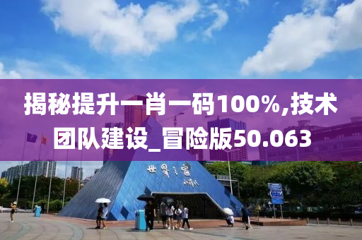 揭秘提升一肖一码100%,技术团队建设_冒险版50.063