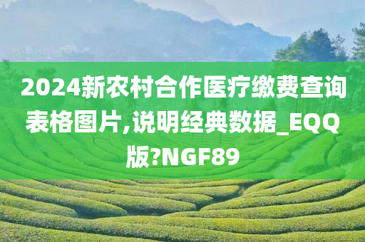 2024新农村合作医疗缴费查询表格图片,说明经典数据_EQQ版?NGF89