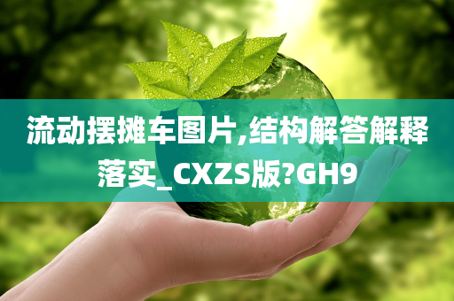 流动摆摊车图片,结构解答解释落实_CXZS版?GH9