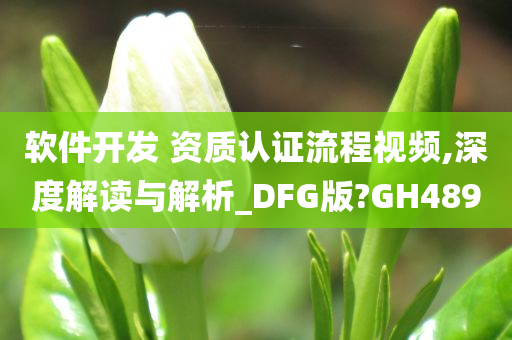 软件开发 资质认证流程视频,深度解读与解析_DFG版?GH489