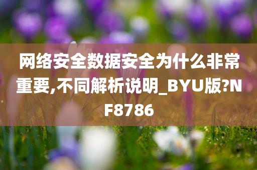 网络安全数据安全为什么非常重要,不同解析说明_BYU版?NF8786