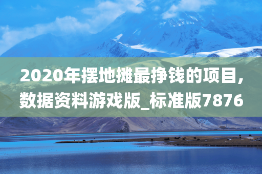 2020年摆地摊最挣钱的项目,数据资料游戏版_标准版7876