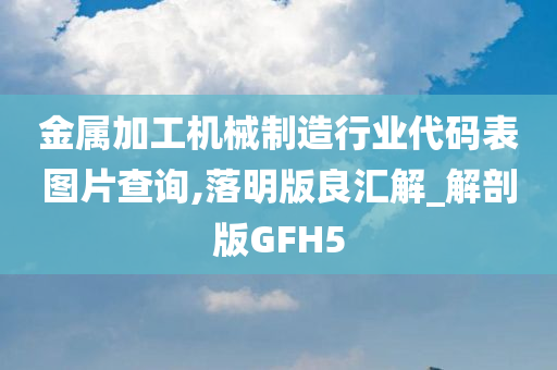 金属加工机械制造行业代码表图片查询,落明版良汇解_解剖版GFH5