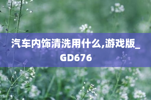 汽车内饰清洗用什么,游戏版_GD676