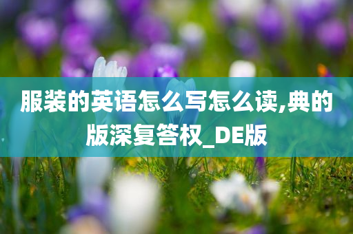 服装的英语怎么写怎么读,典的版深复答权_DE版