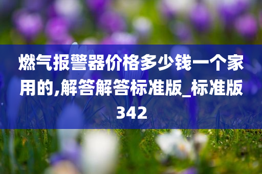 燃气报警器价格多少钱一个家用的,解答解答标准版_标准版342