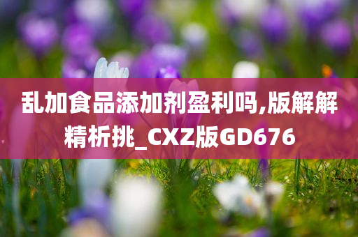 乱加食品添加剂盈利吗,版解解精析挑_CXZ版GD676