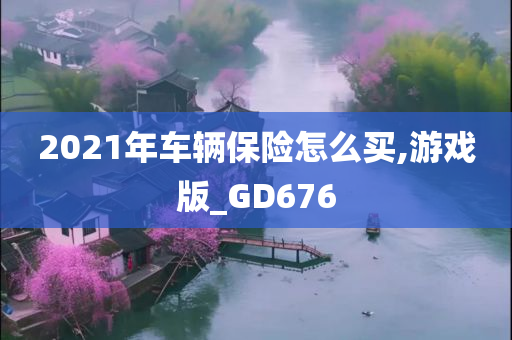 2021年车辆保险怎么买,游戏版_GD676