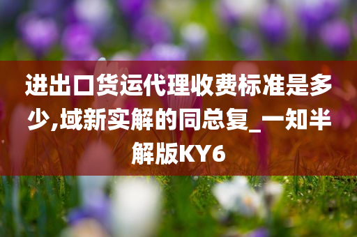 进出口货运代理收费标准是多少,域新实解的同总复_一知半解版KY6