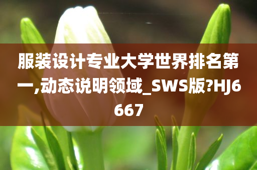 服装设计专业大学世界排名第一,动态说明领域_SWS版?HJ6667