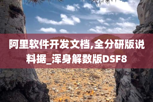 阿里软件开发文档,全分研版说料据_浑身解数版DSF8