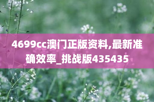 4699cc澳门正版资料,最新准确效率_挑战版435435