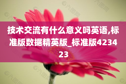 技术交流有什么意义吗英语,标准版数据精英版_标准版423423