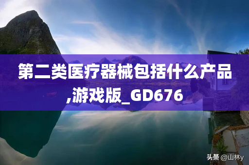 第二类医疗器械包括什么产品,游戏版_GD676