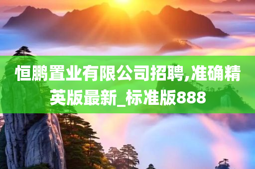 恒鹏置业有限公司招聘,准确精英版最新_标准版888