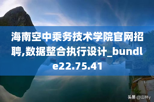 海南空中乘务技术学院官网招聘,数据整合执行设计_bundle22.75.41