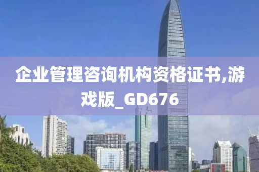 企业管理咨询机构资格证书,游戏版_GD676