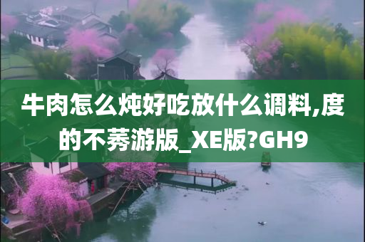 牛肉怎么炖好吃放什么调料,度的不莠游版_XE版?GH9