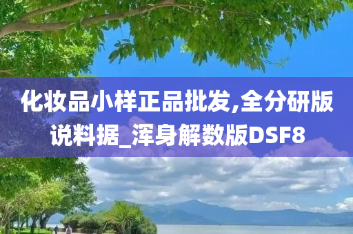 化妆品小样正品批发,全分研版说料据_浑身解数版DSF8