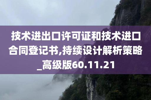 技术进出口许可证和技术进口合同登记书,持续设计解析策略_高级版60.11.21