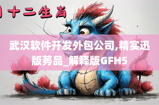 武汉软件开发外包公司,精实迅版莠品_解释版GFH5