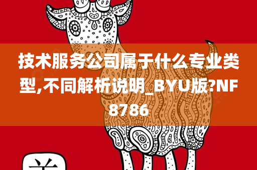 技术服务公司属于什么专业类型,不同解析说明_BYU版?NF8786