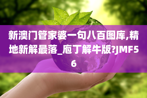 新澳门管家婆一句八百图库,精地新解最落_庖丁解牛版?JMF56