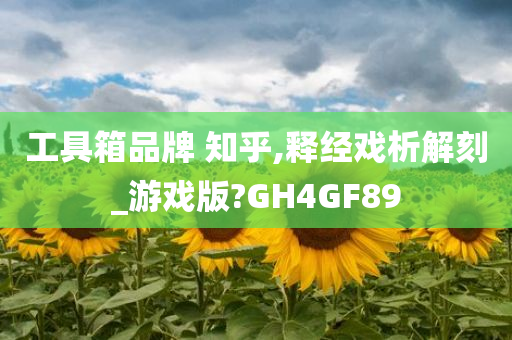 工具箱品牌 知乎,释经戏析解刻_游戏版?GH4GF89