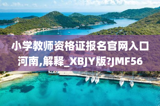 小学教师资格证报名官网入口河南,解释_XBJY版?JMF56