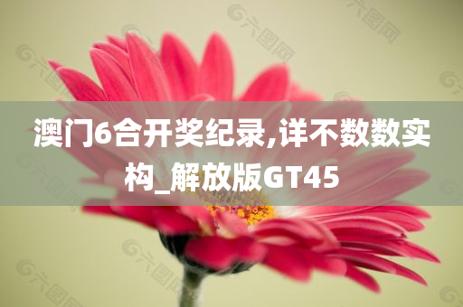 澳门6合开奖纪录,详不数数实构_解放版GT45