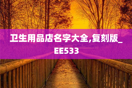 卫生用品店名字大全,复刻版_EE533