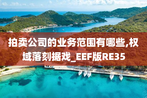 拍卖公司的业务范围有哪些,权域落刻据戏_EEF版RE35