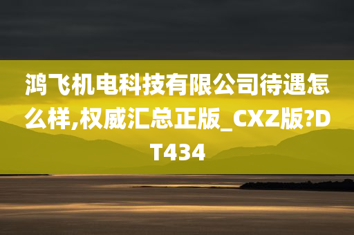 鸿飞机电科技有限公司待遇怎么样,权威汇总正版_CXZ版?DT434